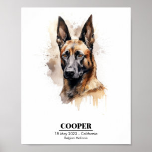 Poster Pintura em Aquarela Personalizável de Malinois