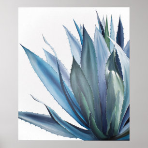 Poster Pintura em Azul Agave Acrílica