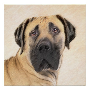 Póster Pintura em Boerboel - Arte Cachorra Original
