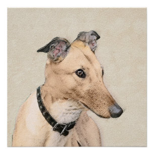 Póster Pintura em Greyhound - Arte em Cachorro Original