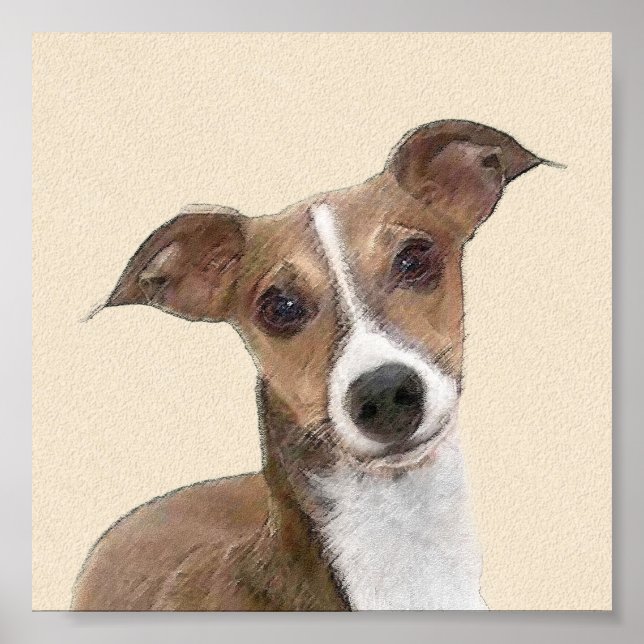Póster Pintura em Greyhound Italiano - Arte de Cachorro O (Frente)