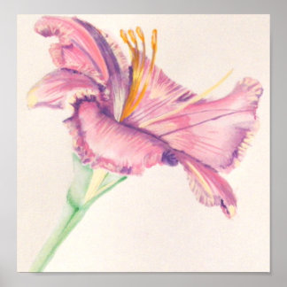 Póster Pintura em Lily Acrínica Rosa