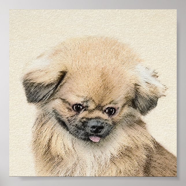 Póster Pintura em Pekingese - Arte Cachorra Original (Frente)