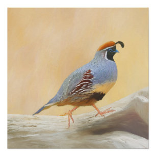 Póster Pintura em Quail de Gambrel — Arte original sobr
