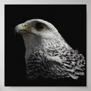 Poster Pintura em Retrato de Gyfalcon Ártico