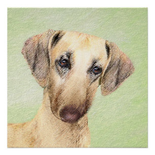 Póster Pintura em Sloughis - Arte Cão Original Bonita