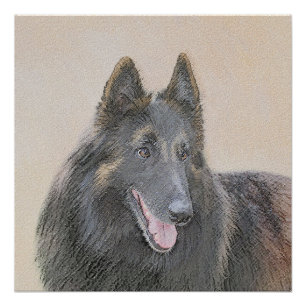 Póster Pintura em Tervuren Belga - Arte Cachorra Original