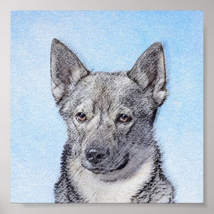 Poster Pintura em Vallhund, na Suécia - Arte Cão Origin
