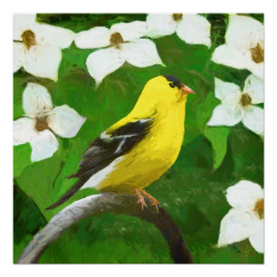 Póster Pintura Goldfinch - Arte Cachorra Original