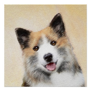 Póster Pintura Islandesa Do Cão - Arte Original Do Cão