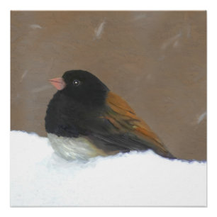 Póster Pintura Junco De Olhos Escuros - Arte De Pássaro