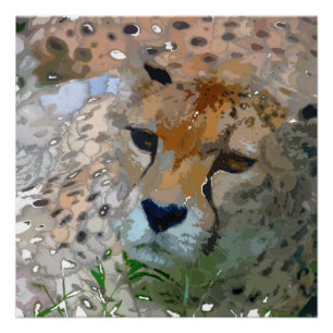 Póster Pintura louca - chita