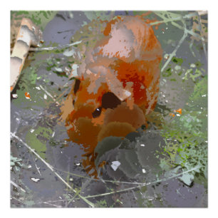 Póster Pintura louca - cobaia