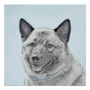 Póster Pintura Norueguesa de Elkhound - Arte Original de