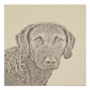 Póster Pintura Original para Cães na Baía de Chesapeake