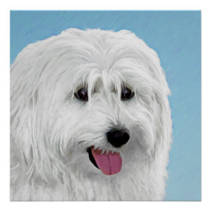 Póster Pintura polonesa do Sheepdog da planície - cão