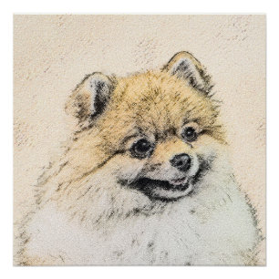 Póster Pintura Pomeraniana (Laranja) - Arte Canina Origin