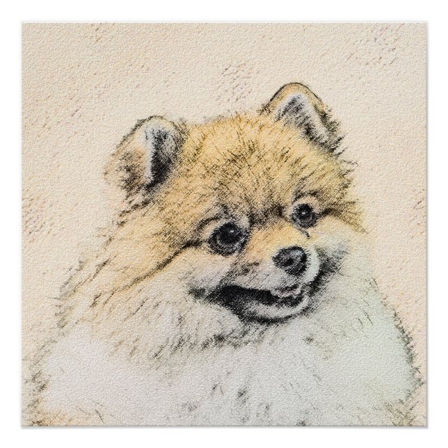 Póster Pintura Pomeraniana (Laranja) - Arte Canina Origin (Frente)