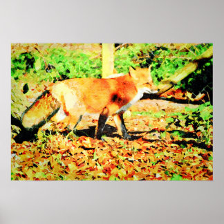 Poster Pintura por Aquarela Cobra Vermelha Cura Pintura p