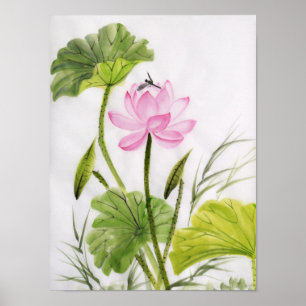 Póster Pintura Por Aquarela De Flor De Lotus