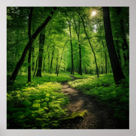 Poster Pintura por Aquarela de uma Floresta de Verão luxu