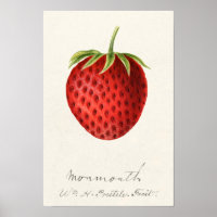 Pintura por Aquarela (Fragaria) Fruta