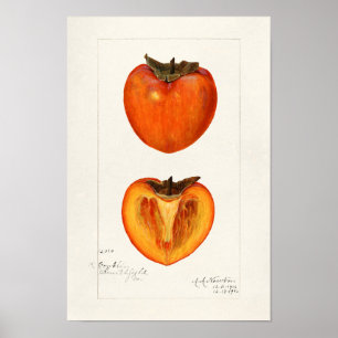 Poster Pintura Por Aquarela Fruta