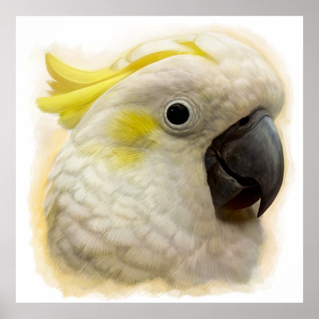 Poster Pintura realista do Cockatoo Penteado (Frente)