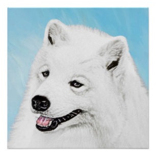 Póster Pintura Samoyed - Arte Cachorosa Original