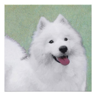 Póster Pintura Samoyed - Arte Cachorra Original