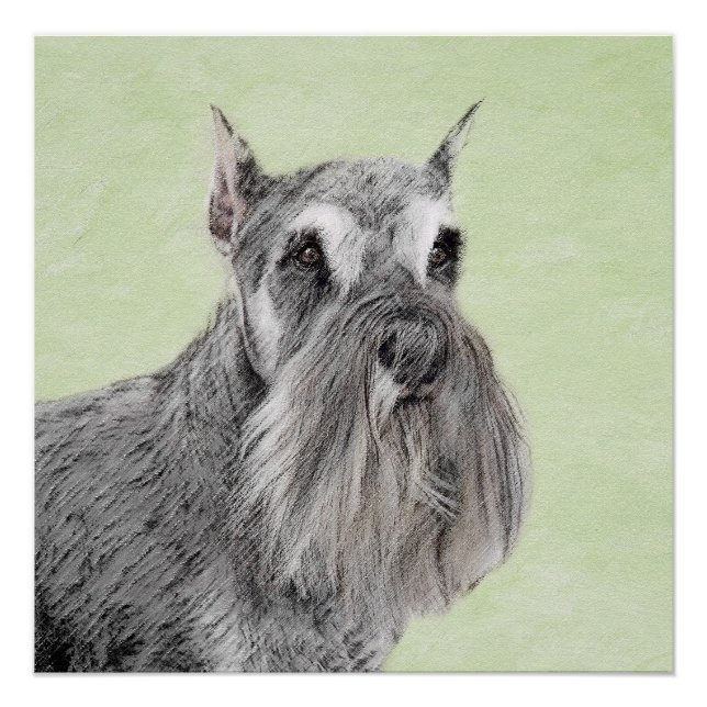 Póster Pintura Schnauzer (Giant, Standard) - Arte Canina (Frente)