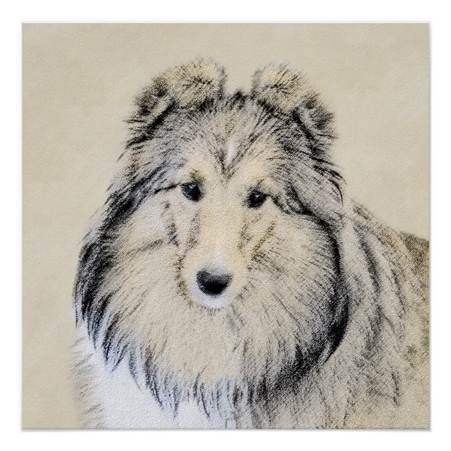 Póster Pintura Shetland Sheepdog - Arte Cachorreira Origi (Frente)
