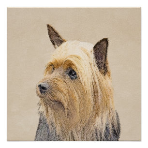 Póster Pintura Silky Terrier - Arte Cachorro Original Cac