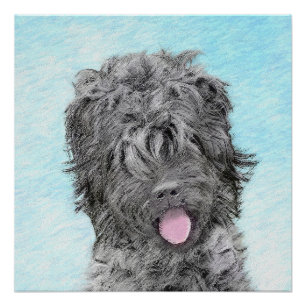 Póster Pintura Terrier russa negra - Cachorro original bo