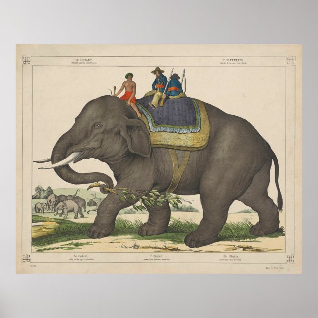 Poster Pintura Vintage de Homens Andando Elefante (Frente)