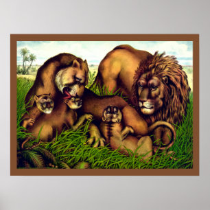 Poster Pintura vintage de uma família de leões