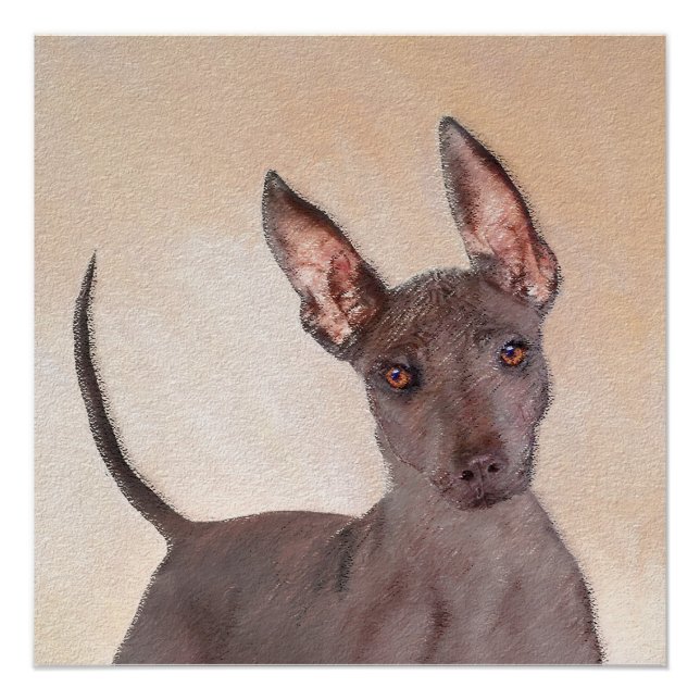 Póster Pintura Xoloitzcuintli - Arte Cachorra Original (Frente)