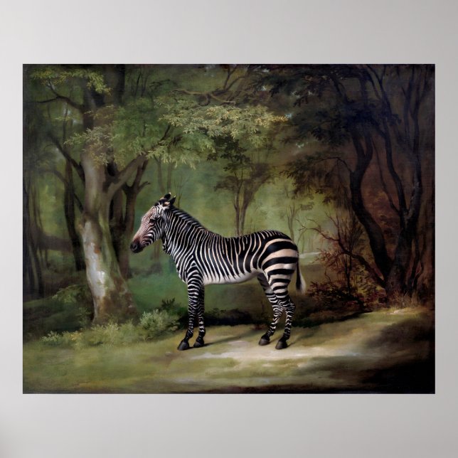 Poster pintura Zebra (1763)  (Frente)