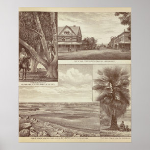 Póster Pioneer Land Co tract, Porterville