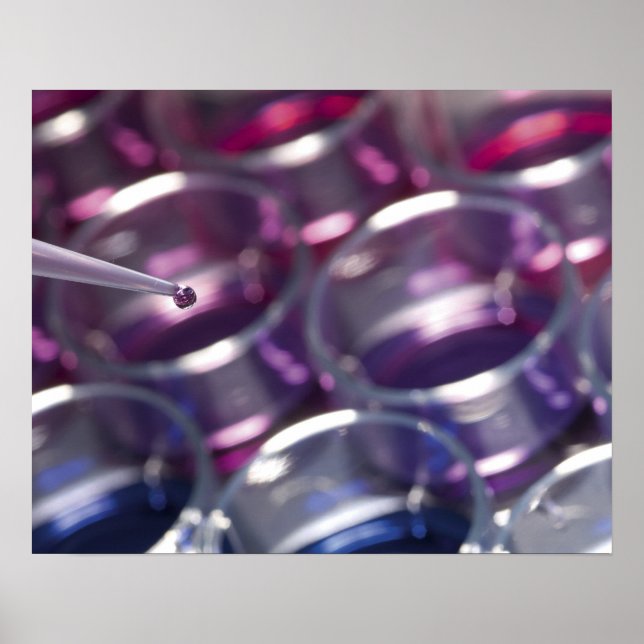 Poster Pipeta e placas de Petri com fluidos (Frente)