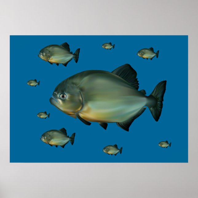 Póster Piranhas (Frente)