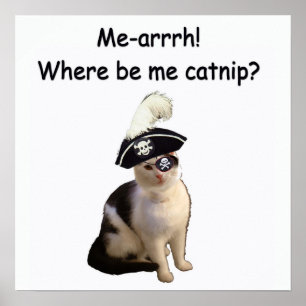 Póster Pirata Cat