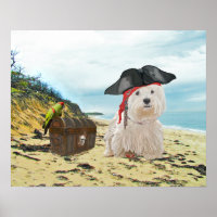 Pirate Westie