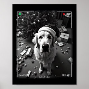 Poster Pirenéus Excelentes De Natal Capturados Na Câmera