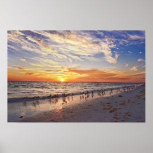Poster Pirilampos numa Praia da Flórida ao Pôr-do-Sol