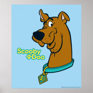 Poster Pisc de Scooby-Doo