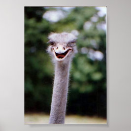 Póster Piscar os olhos piscar os olhos