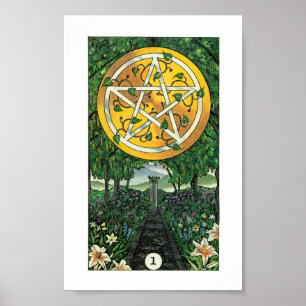 Póster Pisco de peito vermelho Tarot de madeira - ás dos