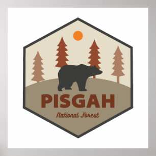 Poster Pisgah National Forest Bear