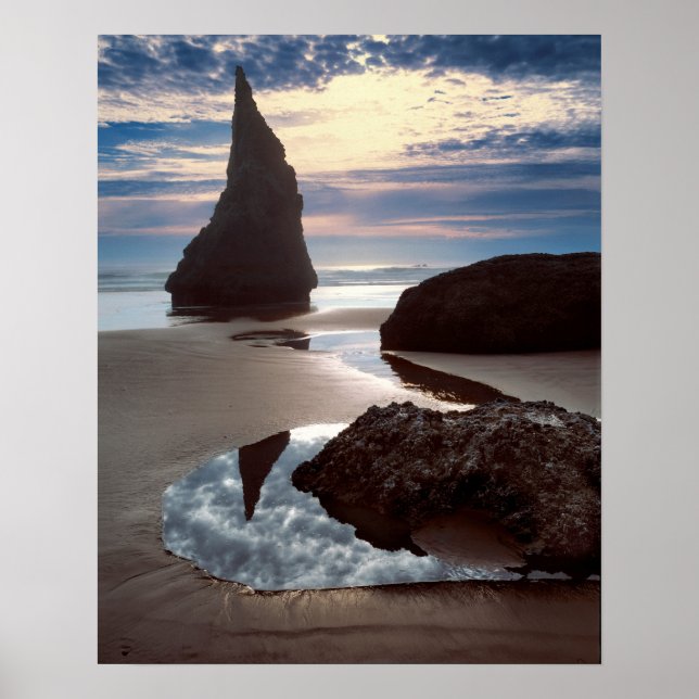 Poster Piso marinho em forma de espuma | Face Rock Waysid (Frente)